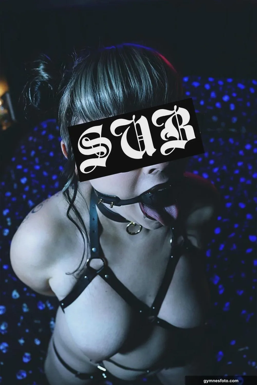 What do you think of my collar and ball gag