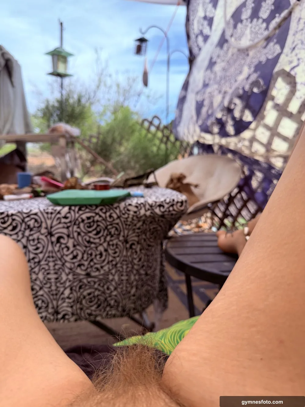Morning coffee and bird watching…